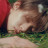 @靜靜-love