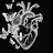 @user-xt4bl6eh4g