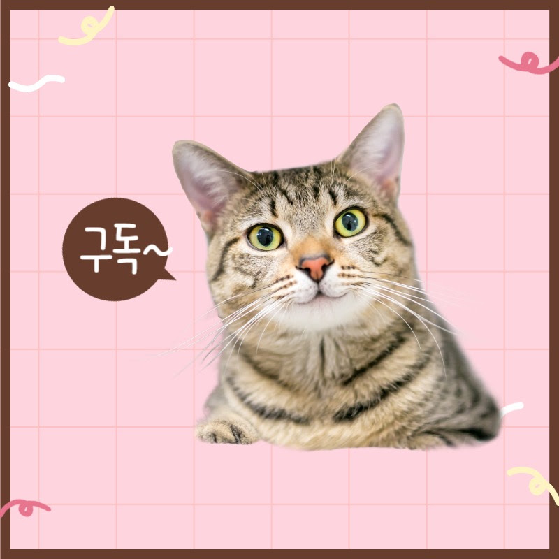 짧은 쇼츠