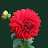 @MazharAbbas-n4u