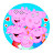 Blox Joy 3