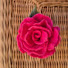 tDKNuqBPlbw-channel-avatar-Soft Felt Flora