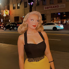 PINUP PALMER net worth