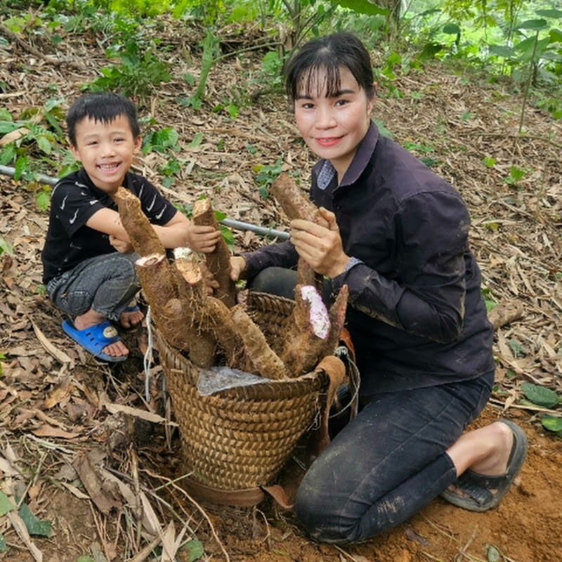 Lý Thanh Thúy