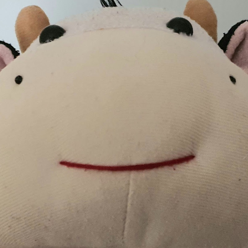 TurtleMaster3000 V.2