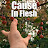 @CauseInFlesh