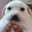 Photo of @pibb-l3