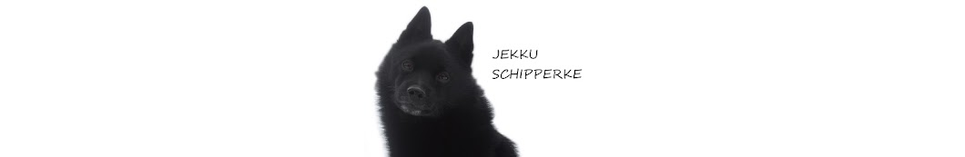 Jekku Schipperke YouTube channel avatar