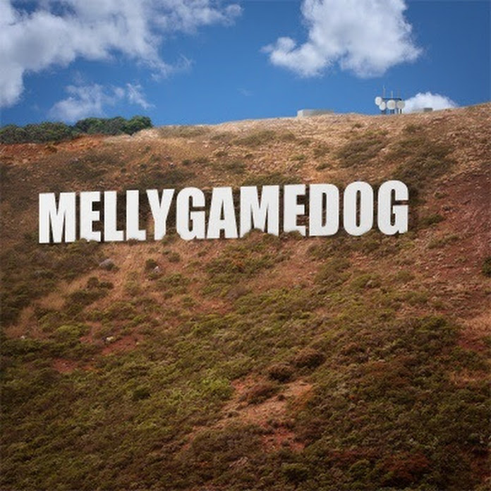 mellygamedog Net Worth & Earnings (2024)