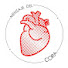 4OSW1lqn02s-channel-avatar-Mensaje del CORAzon