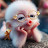 @Amy-y7e3i