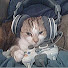5234-7jOpIU-channel-avatar-PlayItEssays