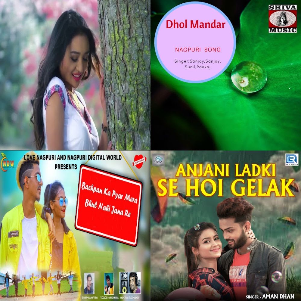 dipok roy