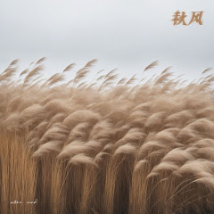 杨坤 - Topicアイコン画像