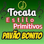 i13y3GUvHI4-channel-avatar-Tocata Estilo Primitivos Pavão Bonito 