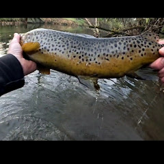 Trout Tails From The Crypt