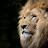 @Burgha-zy4wl Avatar