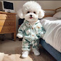 Badley Cute Pets
