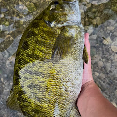 608fishing