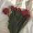 @wkd92dbswn