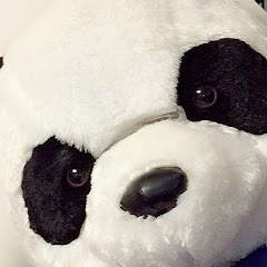 応援ありがとうございました