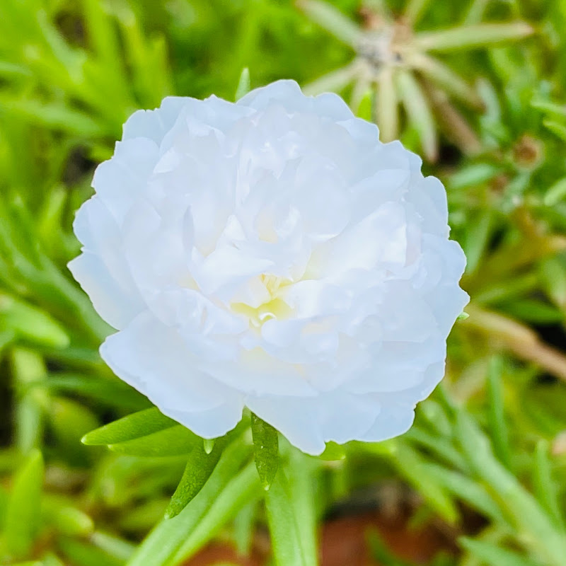 Parts Repairing Logo