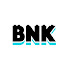 XuFEwcmtVJM-channel-avatar-Bricks N Kits