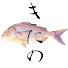 aknFaLTGFbM-channel-avatar-Kitano Fishing and 日本の釣り