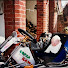 34NBZNKj3dw-channel-avatar-Redline Rufus
