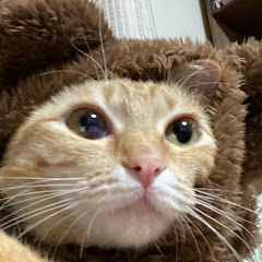 まるドラ多々楽タンタンチャンネル