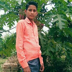 vipin Yadav up 43