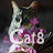 @cat8TV.kongary