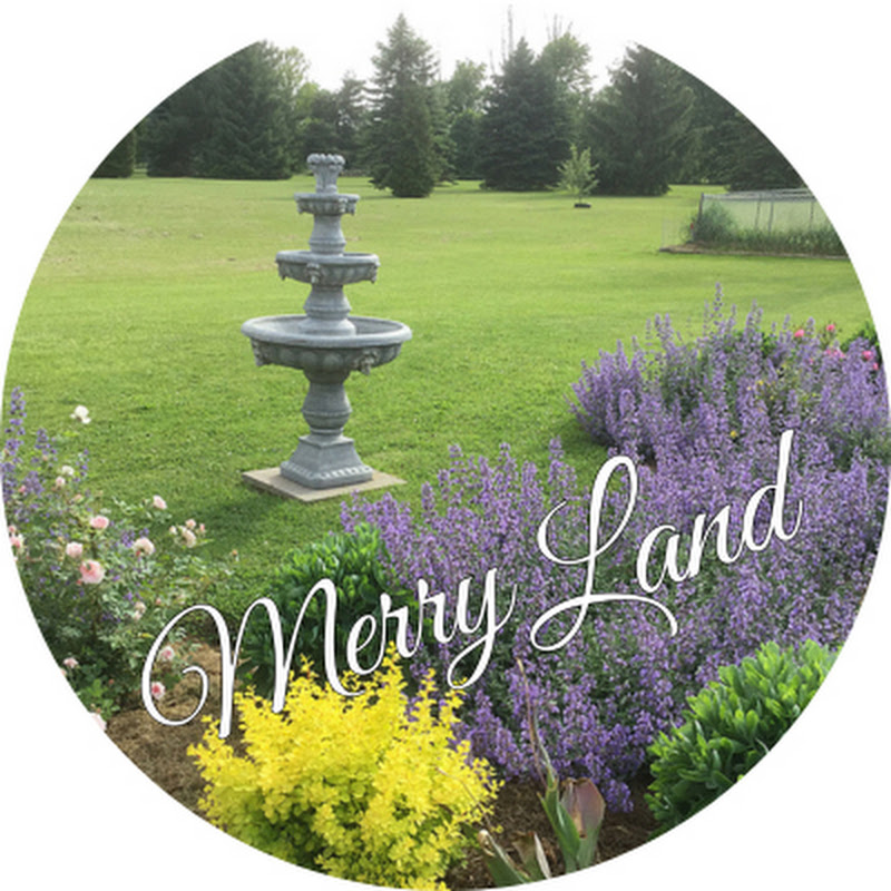 MerryLand