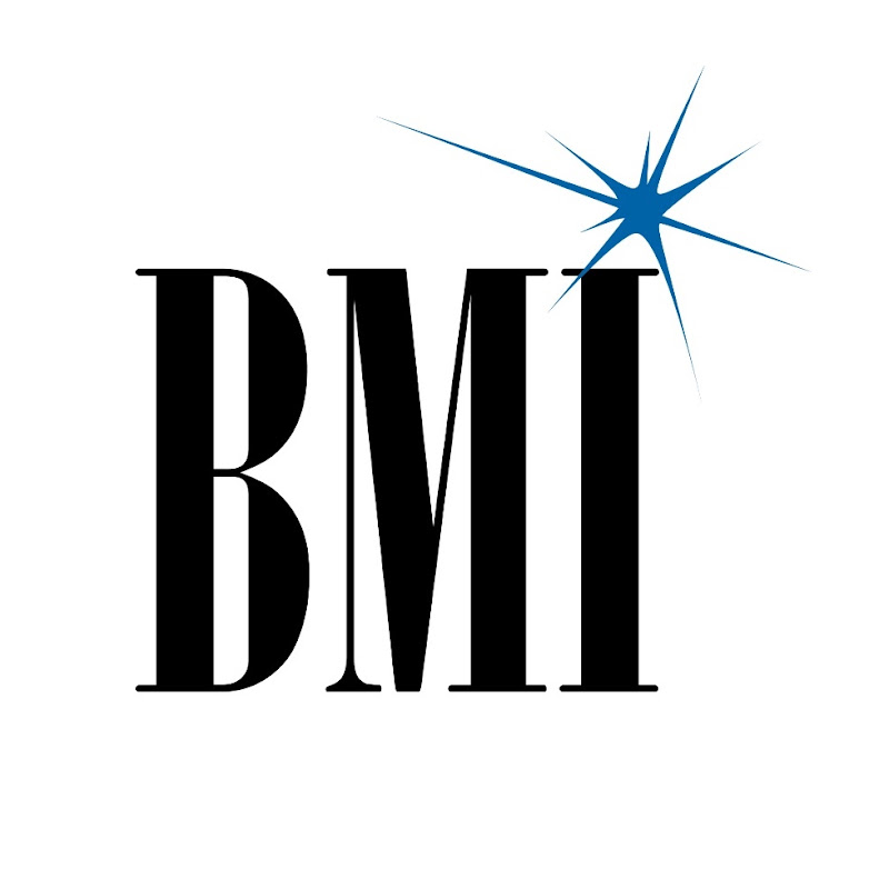 BMI icon