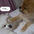 ZFMql3bLVyg-channel-avatar-김모카