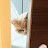 @모닝에초코