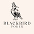 E15bpMcmc70-channel-avatar-Blackbird Poker