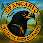 GEANCARLO_WILDLIFEPHOTOGRAPHY logo