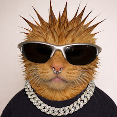 KittyRank channel avatar