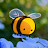 @HerrHulaHoop1's avatar