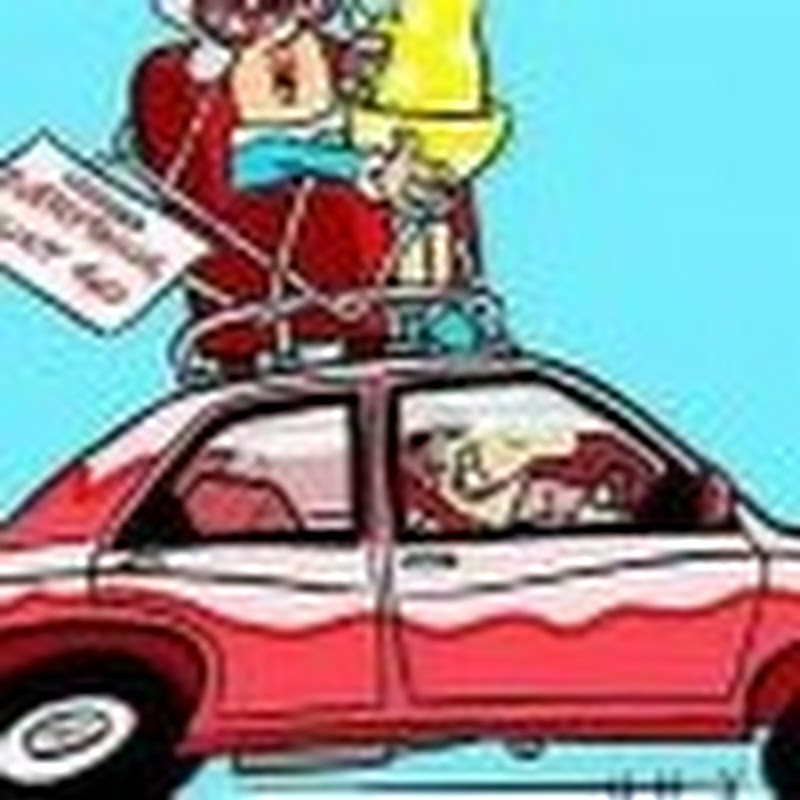 Car_Bootifull