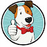 6pvUlcuI7Y4-channel-avatar-Pet Spotlight