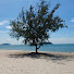 HDANRwH58dk-channel-avatar-longua Travel & Music