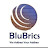 Blubrics consultants