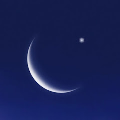 タロット&バッチフラワーレメディープレゼンター彩月癸「さつき」。