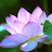 @정정이-g3f