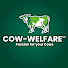 vpk-KndeWUk-channel-avatar-Cow-Welfare