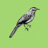 CvMvVHZy6lo-channel-avatar-EarlySongBug