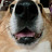 @tba210's avatar