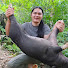 FEaiPah7Ih4-channel-avatar-Wild Forest Life